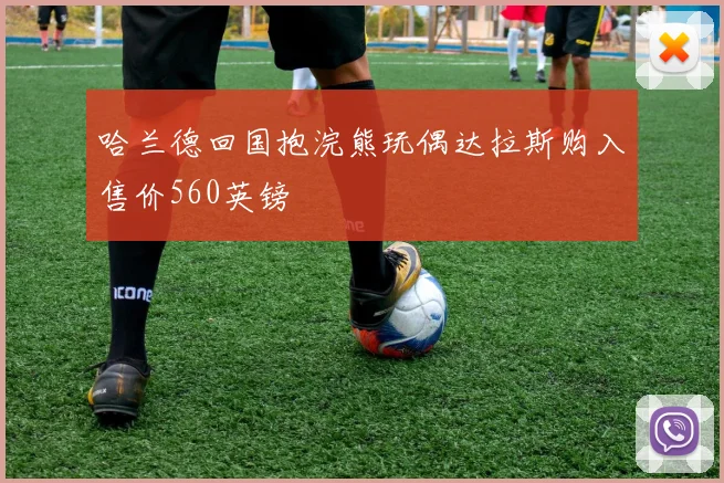 哈兰德回国抱浣熊玩偶达拉斯购入售价560英镑